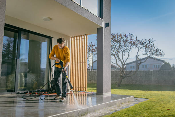 Best Roof Cleaning and Mildew Removal in Pinehurst, TX